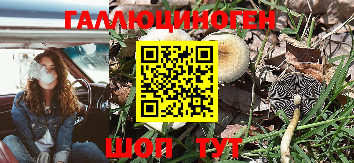Псилоцибиновые грибы GOLDEN TEACHER  Галлюциногенные грибы ЛСД  Вход с VPN  Лыткарино 
