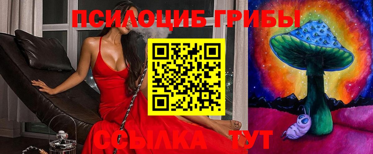 Псилоцибиновые грибы MAGIC MUSHROOMS Лыткарино
